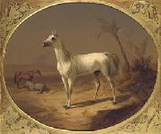 Theodor Horschelt A Grey Arabian Horse oil painting